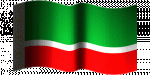 image0 (1).gif