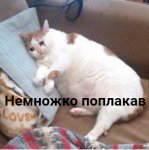 nbnm3_Gczzw.jpg
