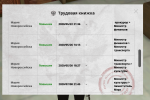 ТРУДОВАЯ (2).png