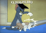 1613666355526.gif