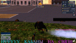 giphy.gif