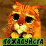 Без названия.jpg