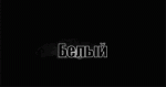 Белый.gif