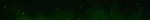 standard (2).gif