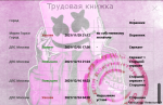 1640312851324.png