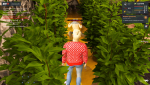 unknown (2).png
