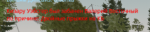 1648995615491.png