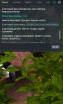 NEXTRP 05.04.2022 15_51_18 (2).png