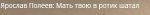 1656341651062.jpeg