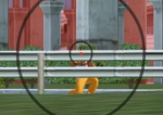 1660175264899.png