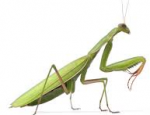 1661102363444.png