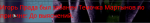 unknown-5.png