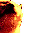 cat-dancing-cat.gif