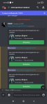 Screenshot_2023-01-06-13-15-53-955_com.discord.jpg
