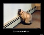 1367392372_Nakazyvayte._doseng.org.jpg