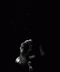 2mtV.gif