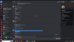 Desktop Screenshot 2023.04.29 - 10.51.13.57.png