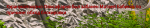 image-15.png