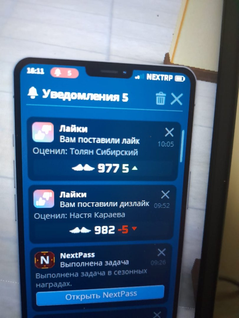 Изображение WhatsApp 2023-07-05 в 16.49.15.jpg
