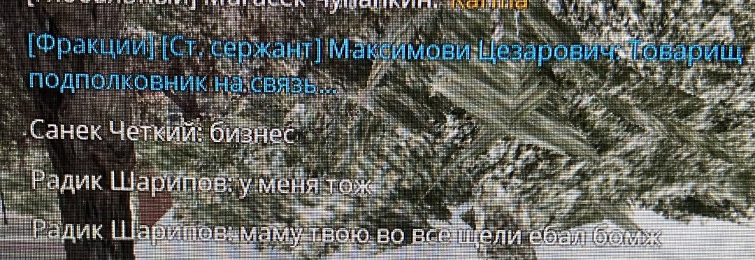 IMG_3182.jpeg