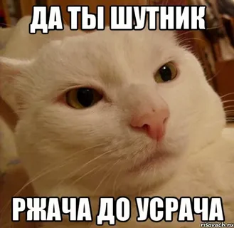 1706469090951.png