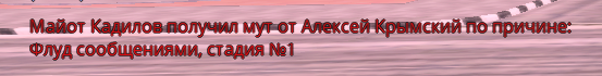 1707419528426.png