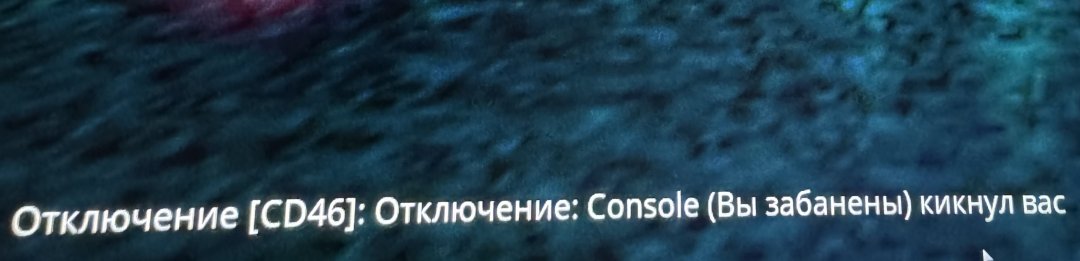 IMG_1801.jpeg