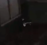 1722623304600.png