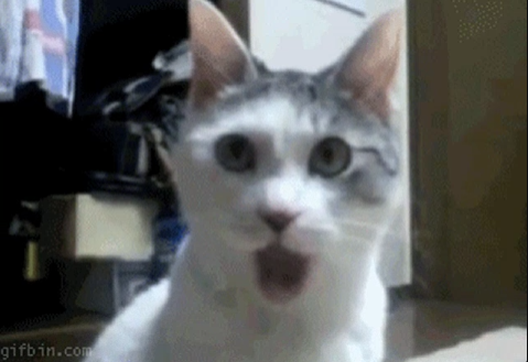1723580017438.png