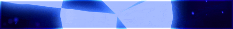 standard (3).gif