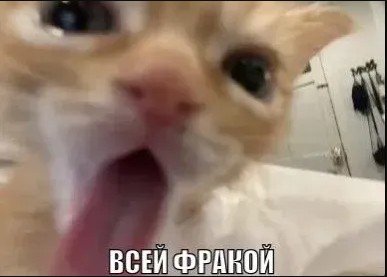Скриншот 22-08-2024 182119.jpg