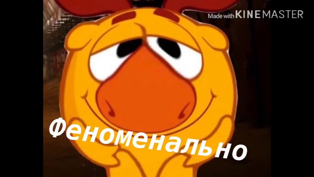1675361560_www-funnyart-club-p-losyash-mem-smeshno-1.jpg