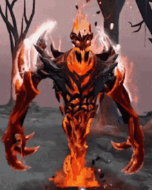 zxc (2).gif