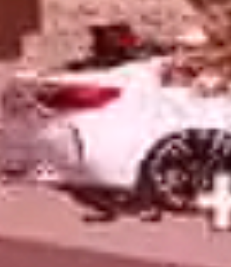 1734026296116.png