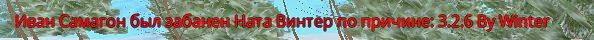 1735299372089.png