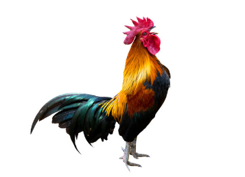 1741737479210.png
