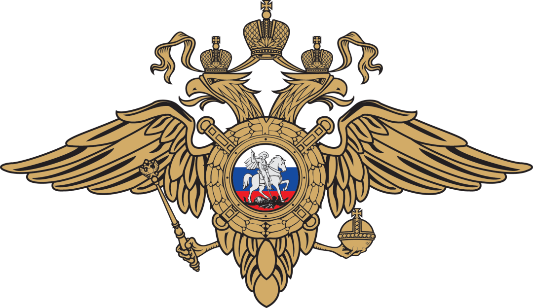 ДПС МСК.png