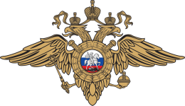 12.png