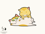 Gif cat.gif