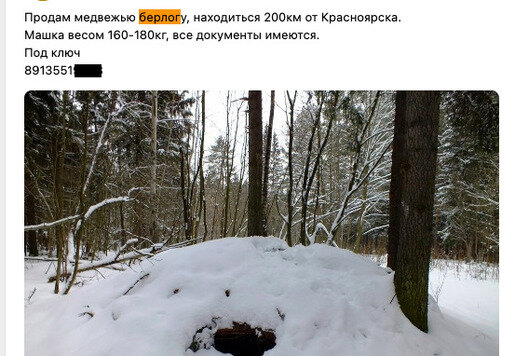 1746611770312.png