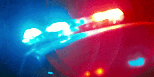 1746625103879.gif