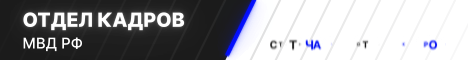standard (2).gif