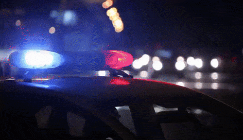 gif-police-1.gif