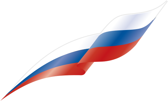 1670958882_grizly-club-p-lenta-flag-rossii-png-22.png
