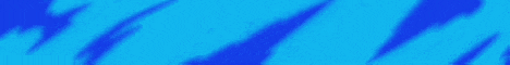 standard (1).gif