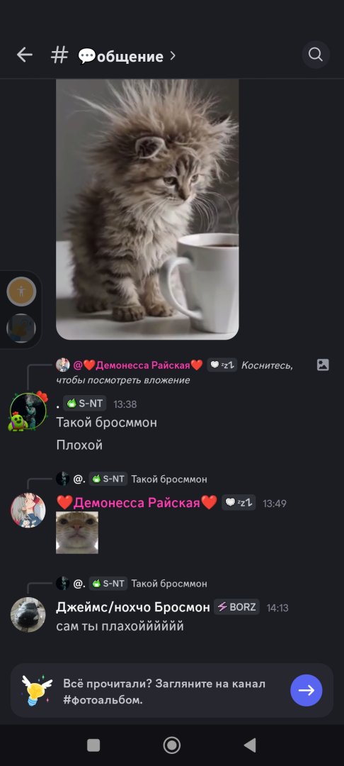 Screenshot_2025-07-06-15-03-35-572_com.discord.jpg