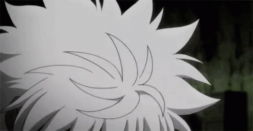 hunter-x-hunter.gif