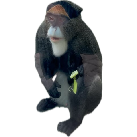 1752906711104.png