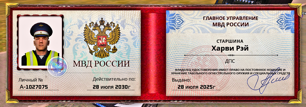 изображение_2025-07-29_172700165.png