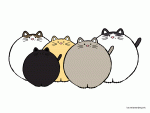 gif cat2.gif
